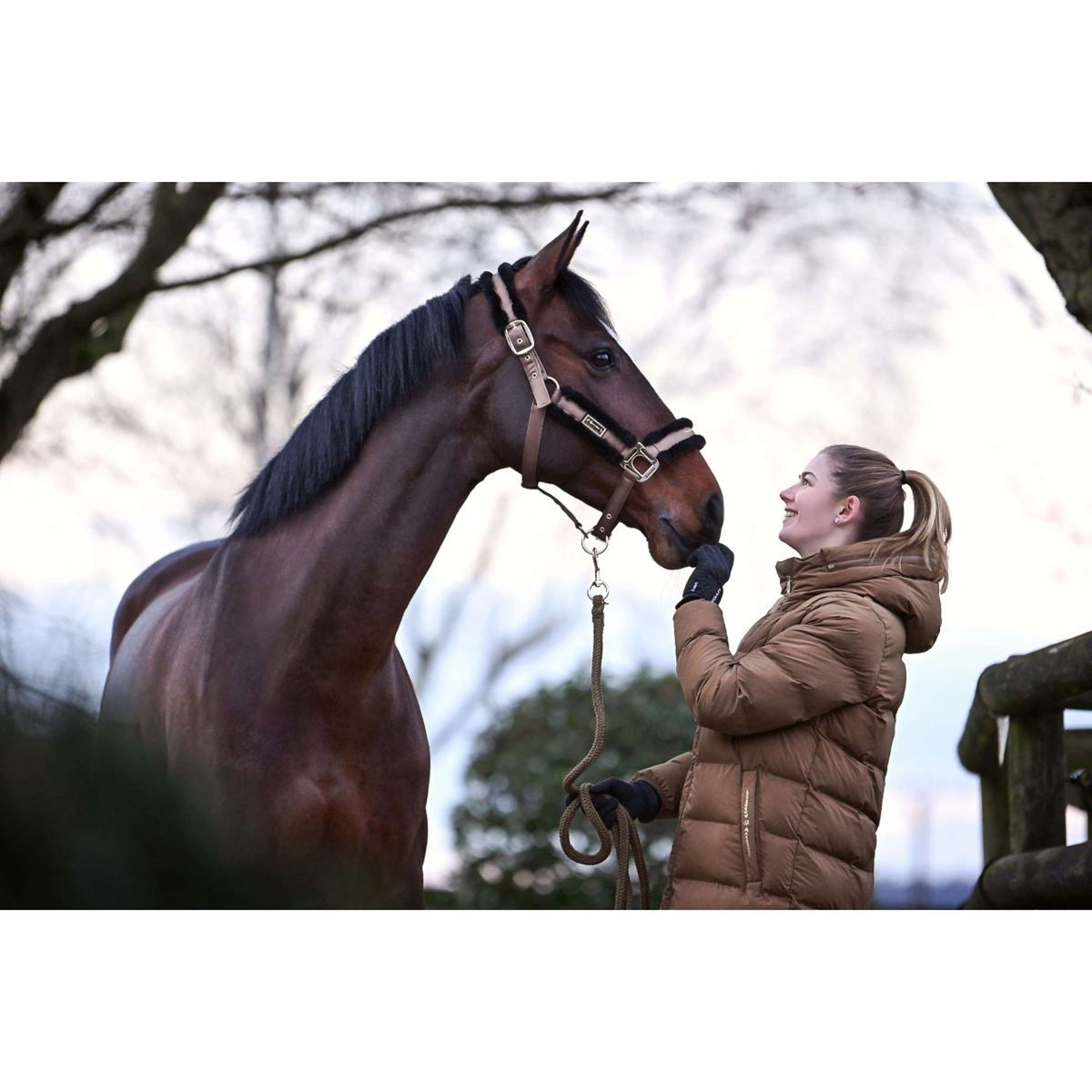 Cavallo Capezzina CavalLylou Dark Caramel