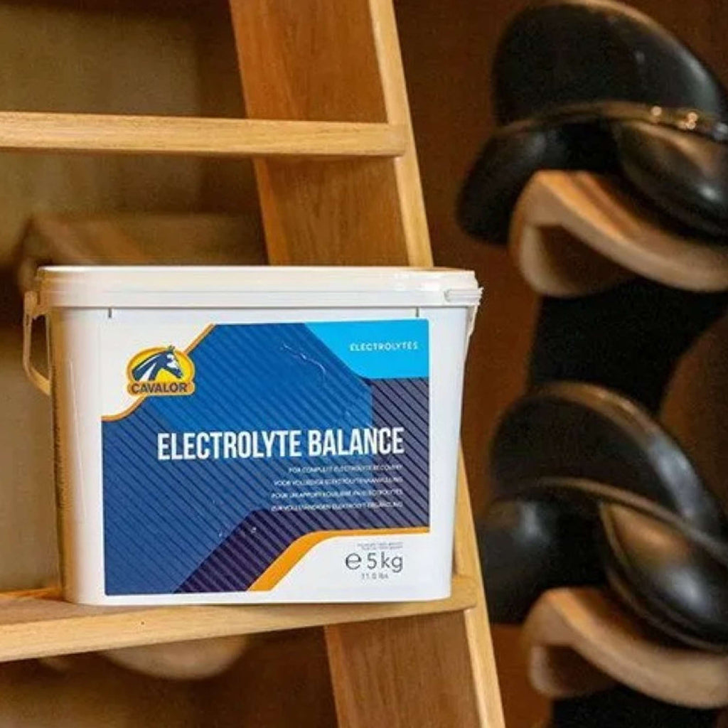 Cavalor Elettroliti Electolyte Balance