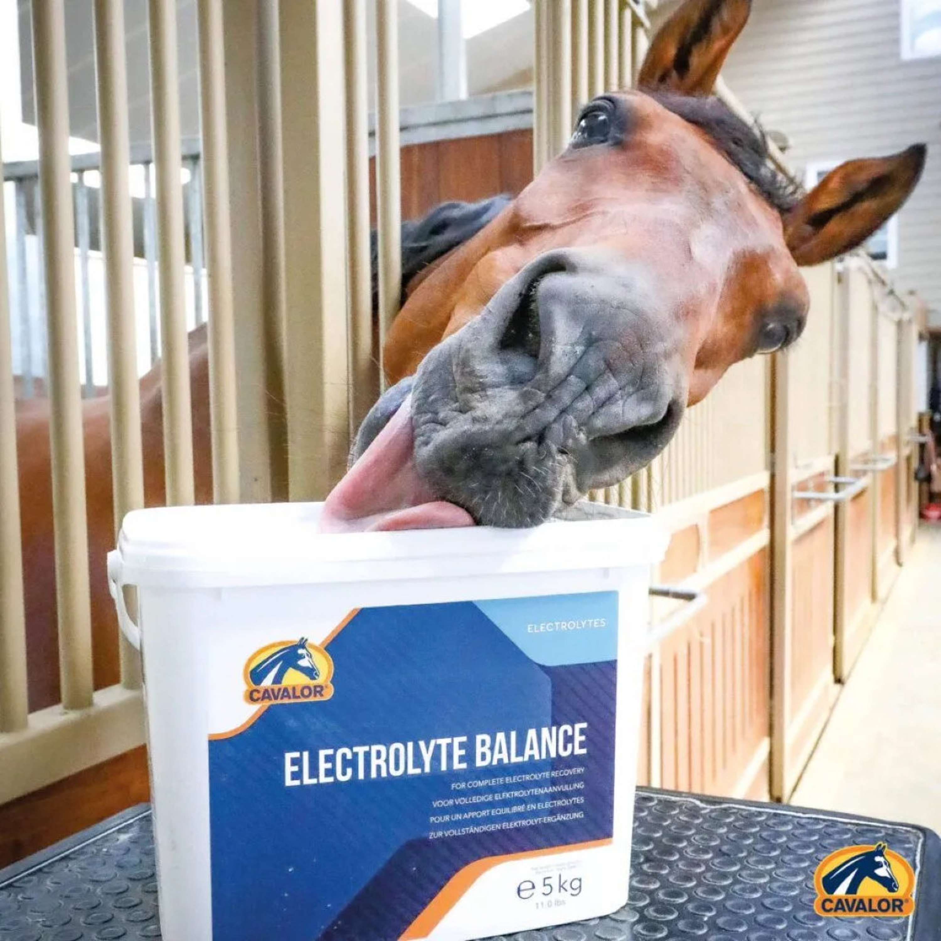 Cavalor Elettroliti Electolyte Balance