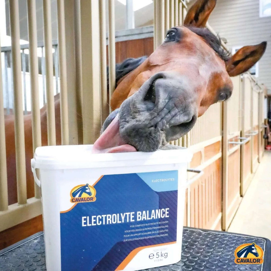 Cavalor Elettroliti Electolyte Balance