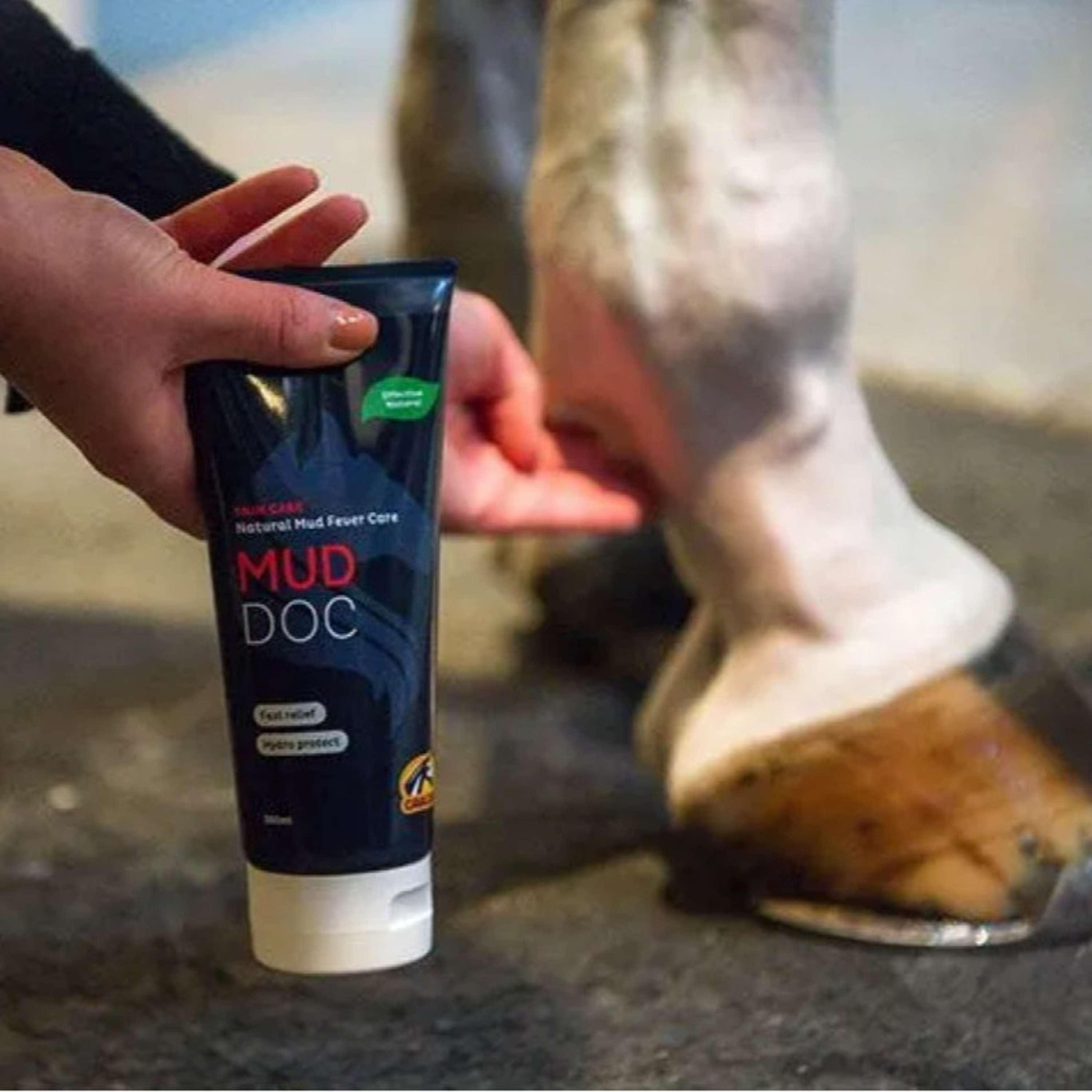 Cavalor Pomata per dermatite da fango MudDoc
