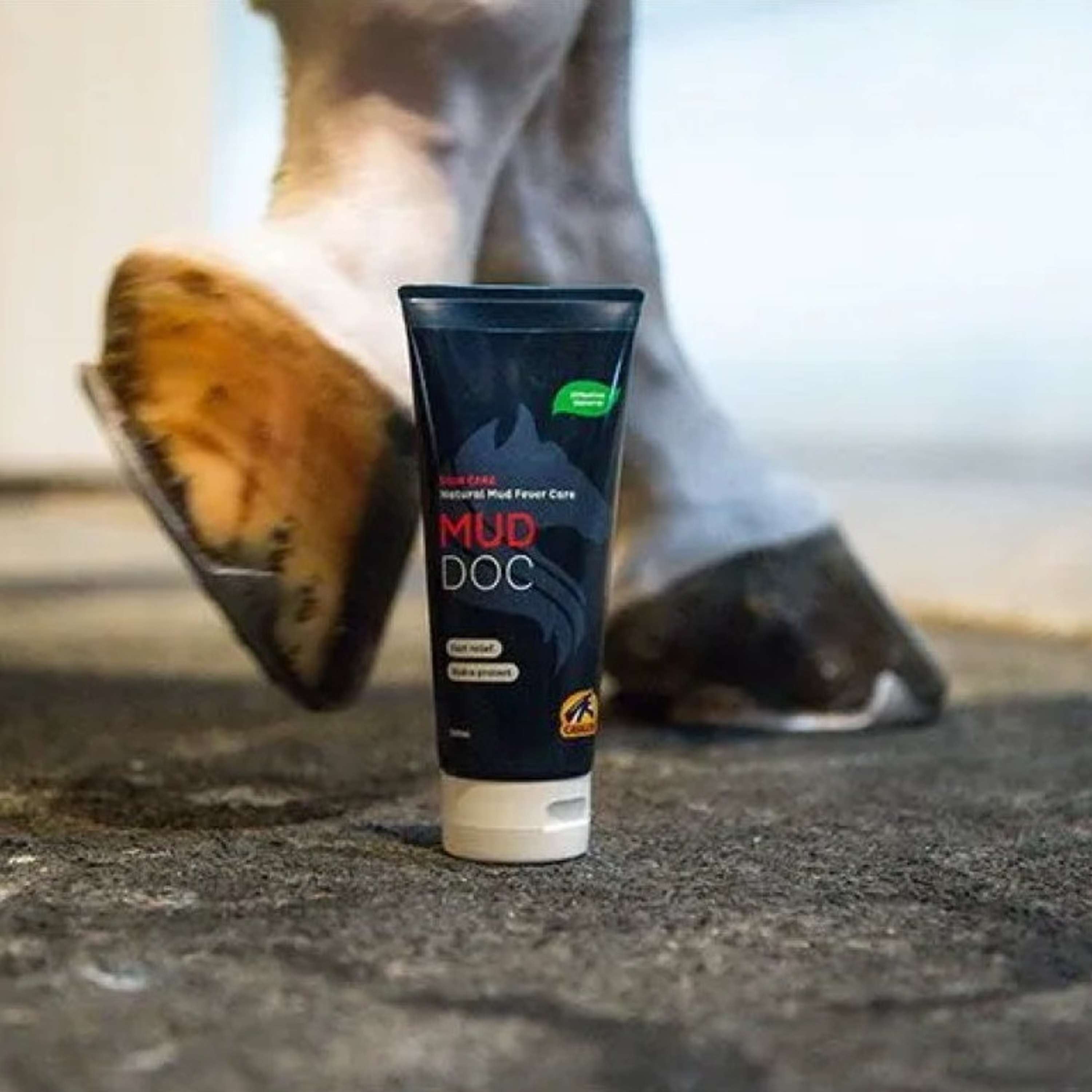 Cavalor Pomata per dermatite da fango MudDoc