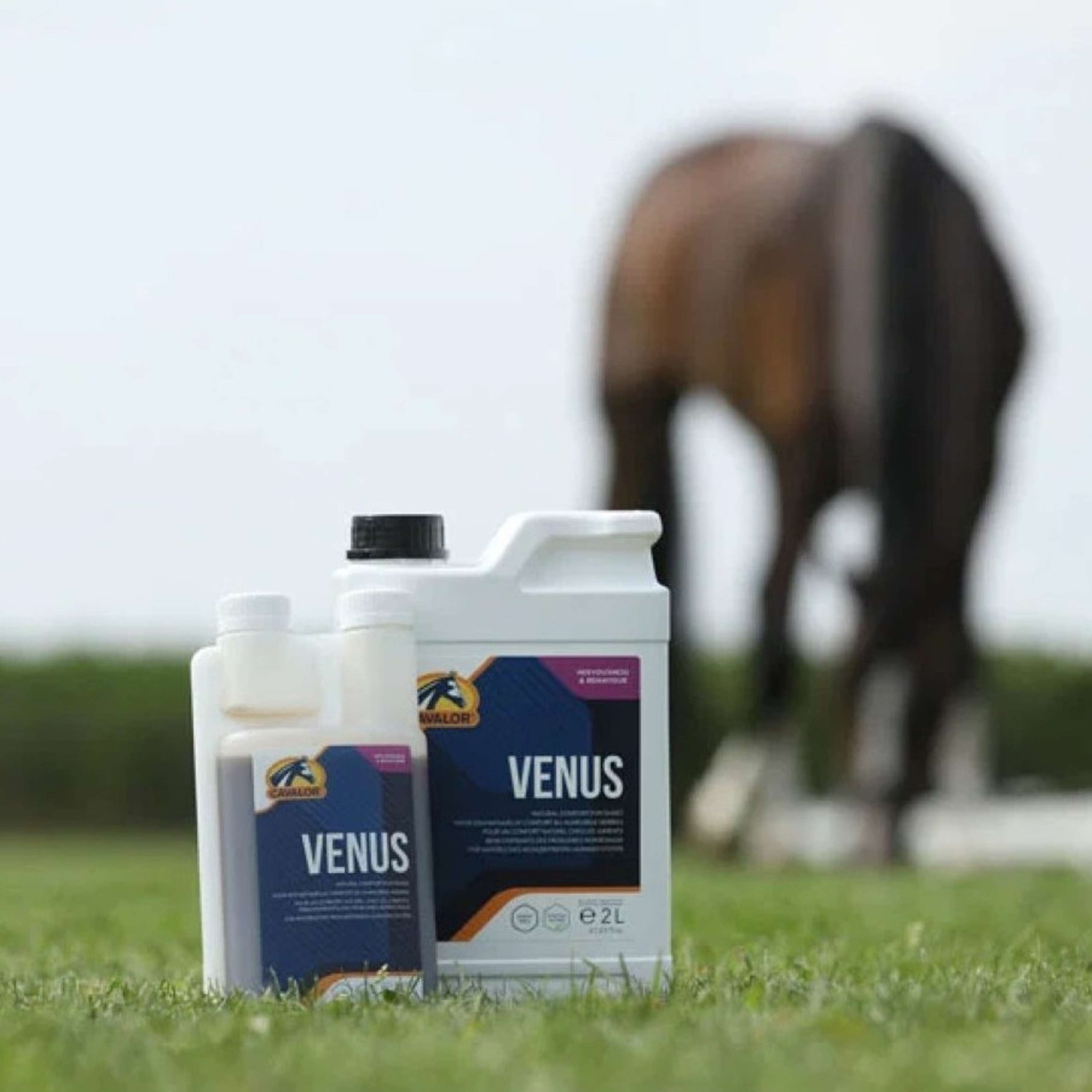 Cavalor Venere