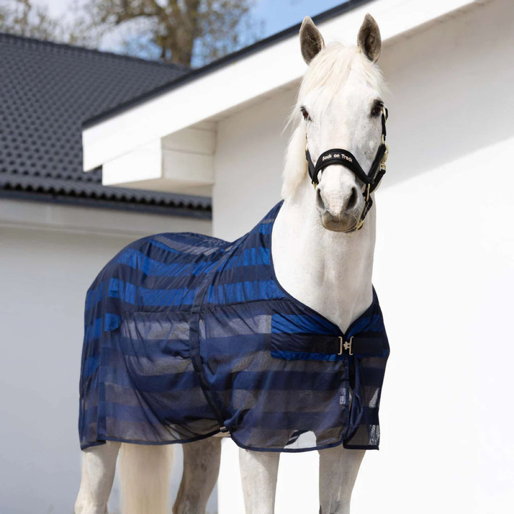 Cool on Track Coperta a Rete Blu