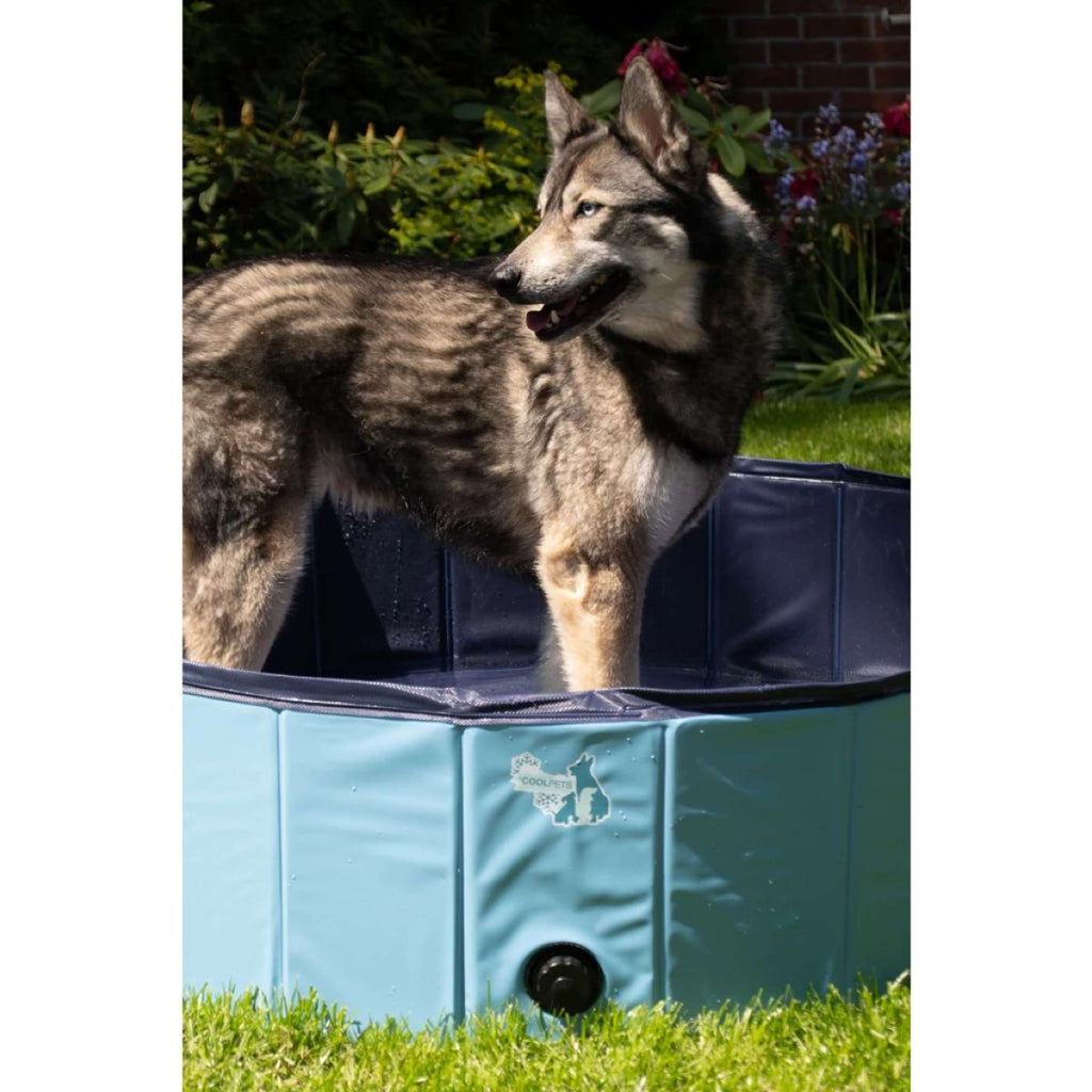 Coolpets Piscina