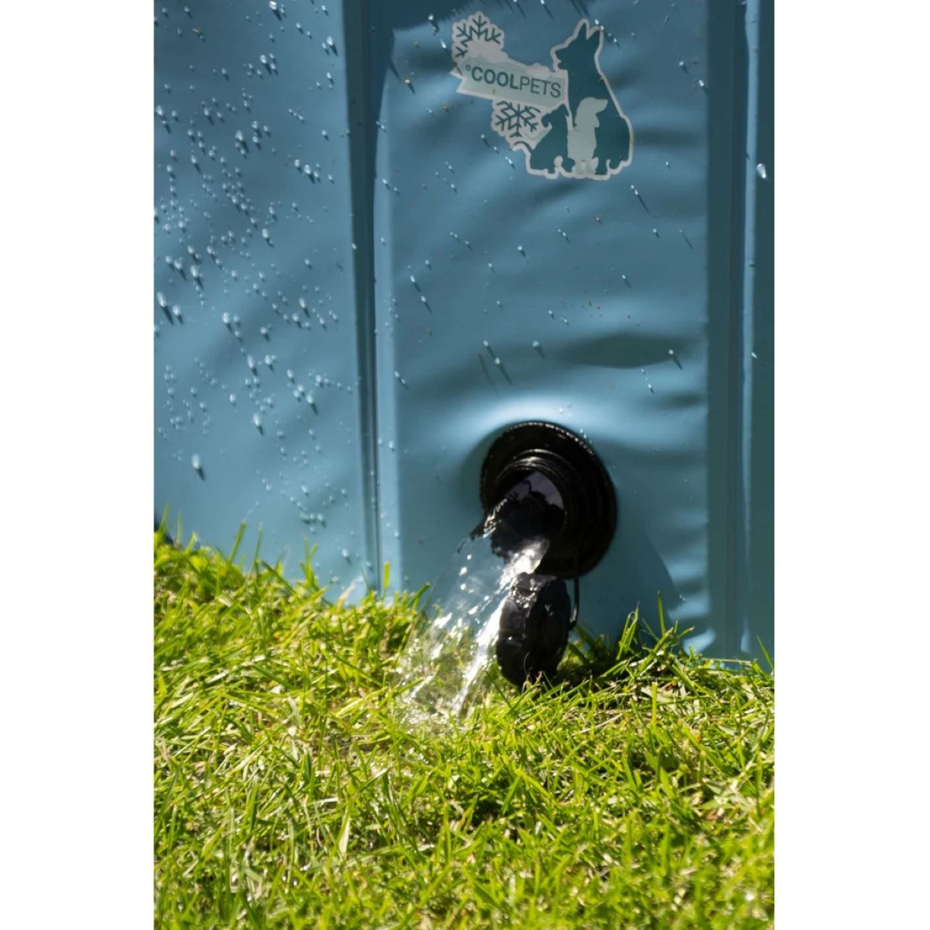 Coolpets Piscina