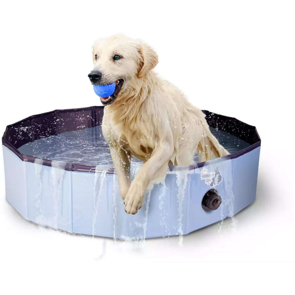 CoolPets Piscina per Cani Splash