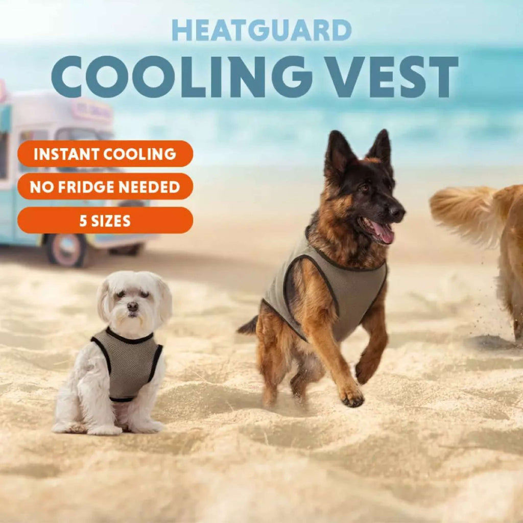CoolPets Cappotto per Cane Cooling Beige/Grigio