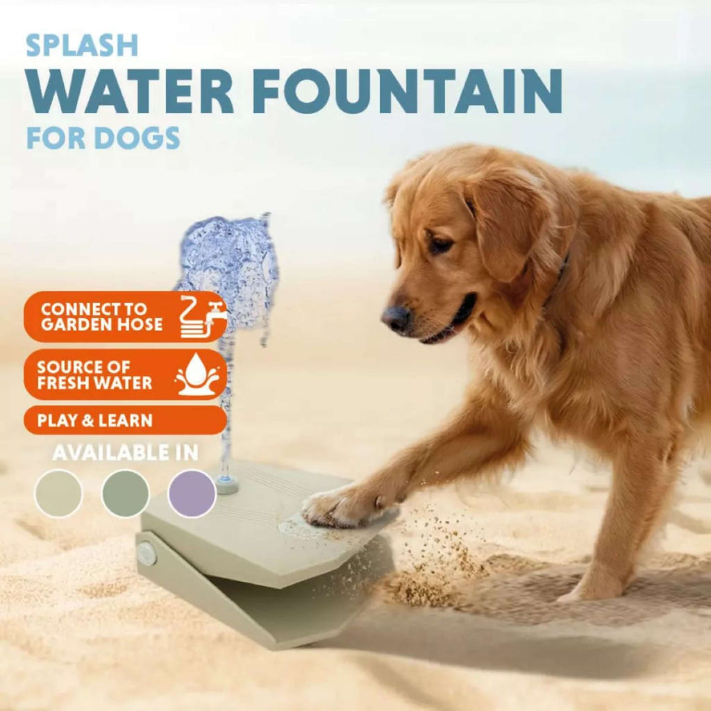 CoolPets Fontana Splash Aqua Oliva