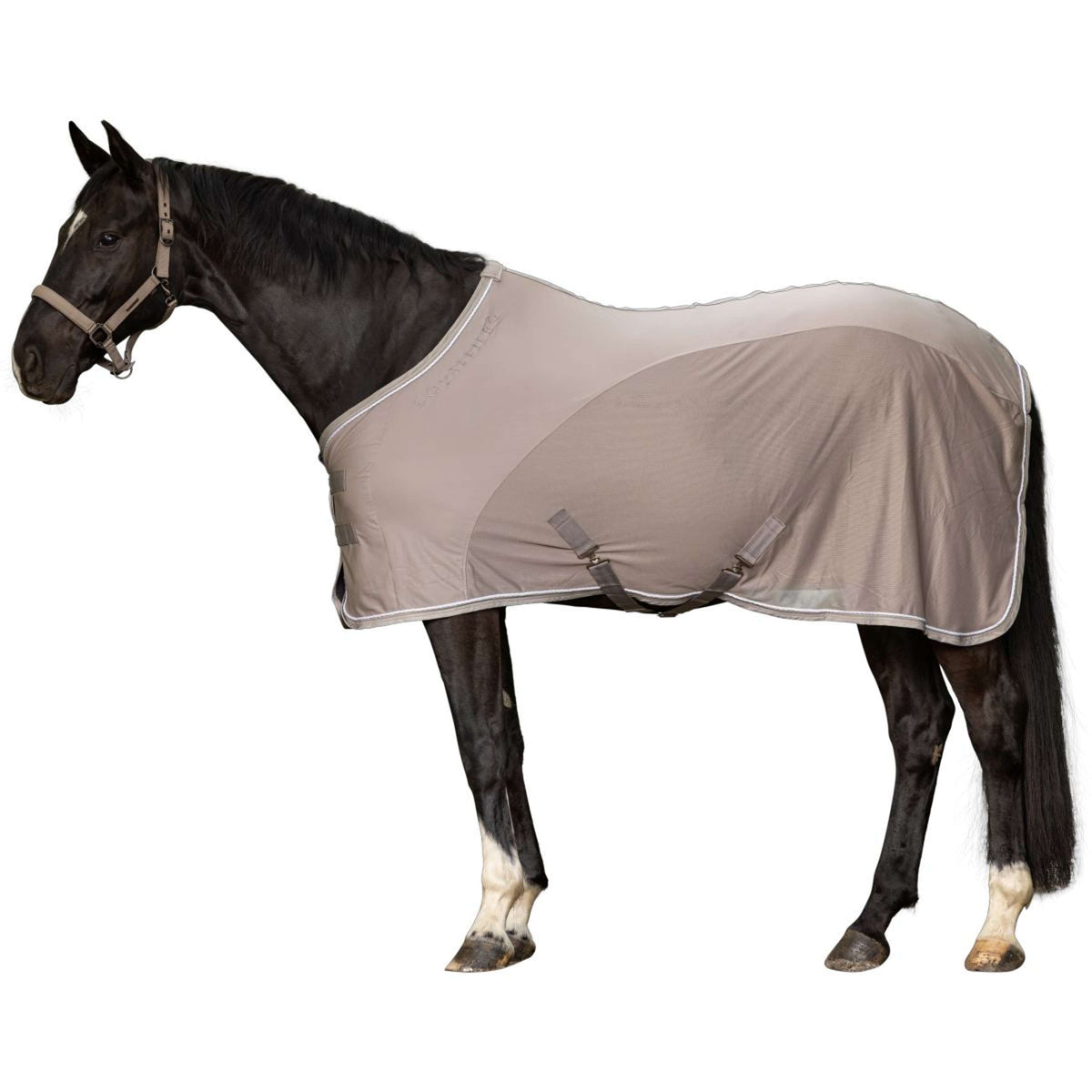 Covalliero Coperta Antimosche SS25 Beige