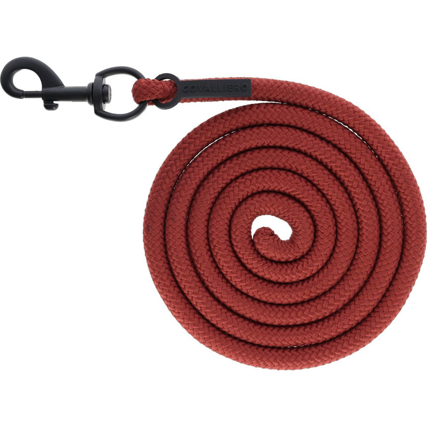 Covalliero Corda per cavezza AW25 con Moschettone Riposo Covalliero Corda per cavezza AW25 con Moschettone Riposo