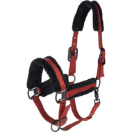 Covalliero Capezzina AW25 Riposo