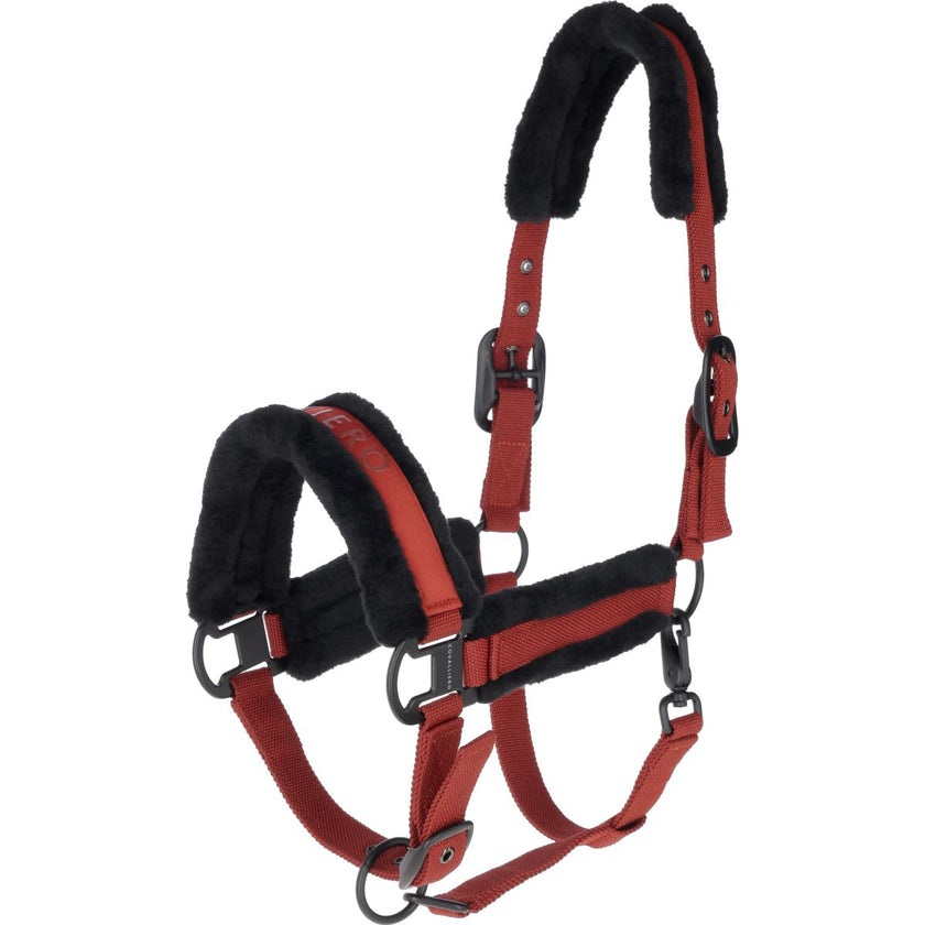 Covalliero Capezzina AW25 Riposo