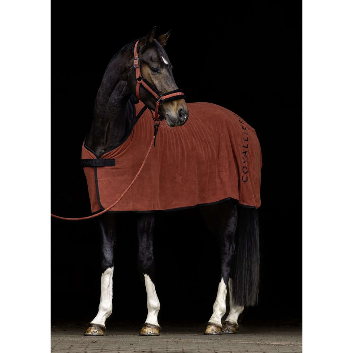 Covalliero Coperta in Pile AW25 Riposo
