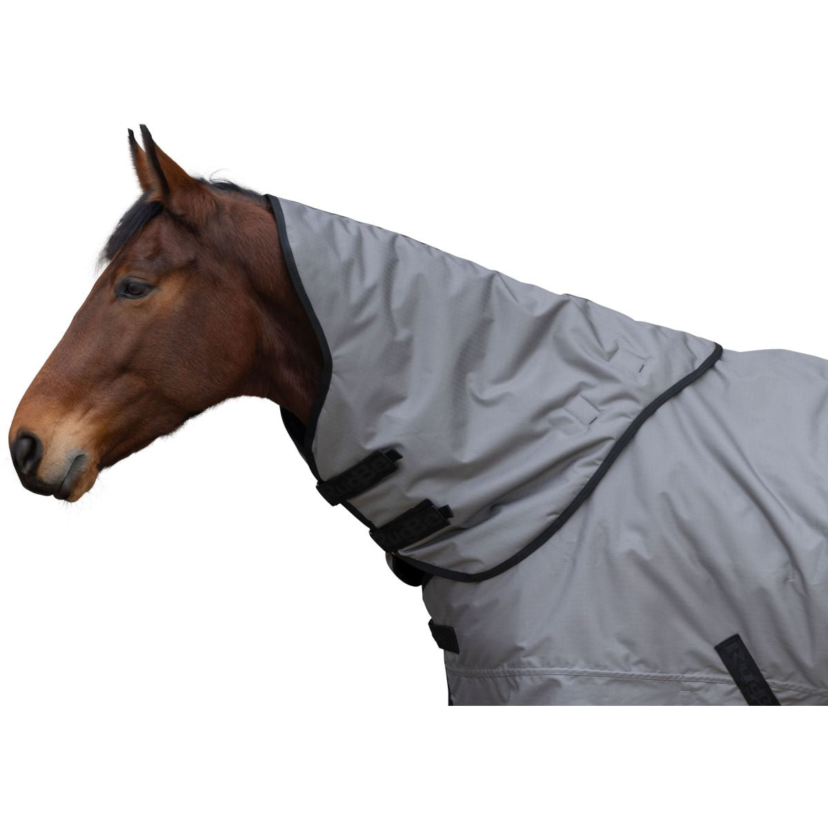 RugBe by Covalliero Copricollo AW25 200 g Steel Grey