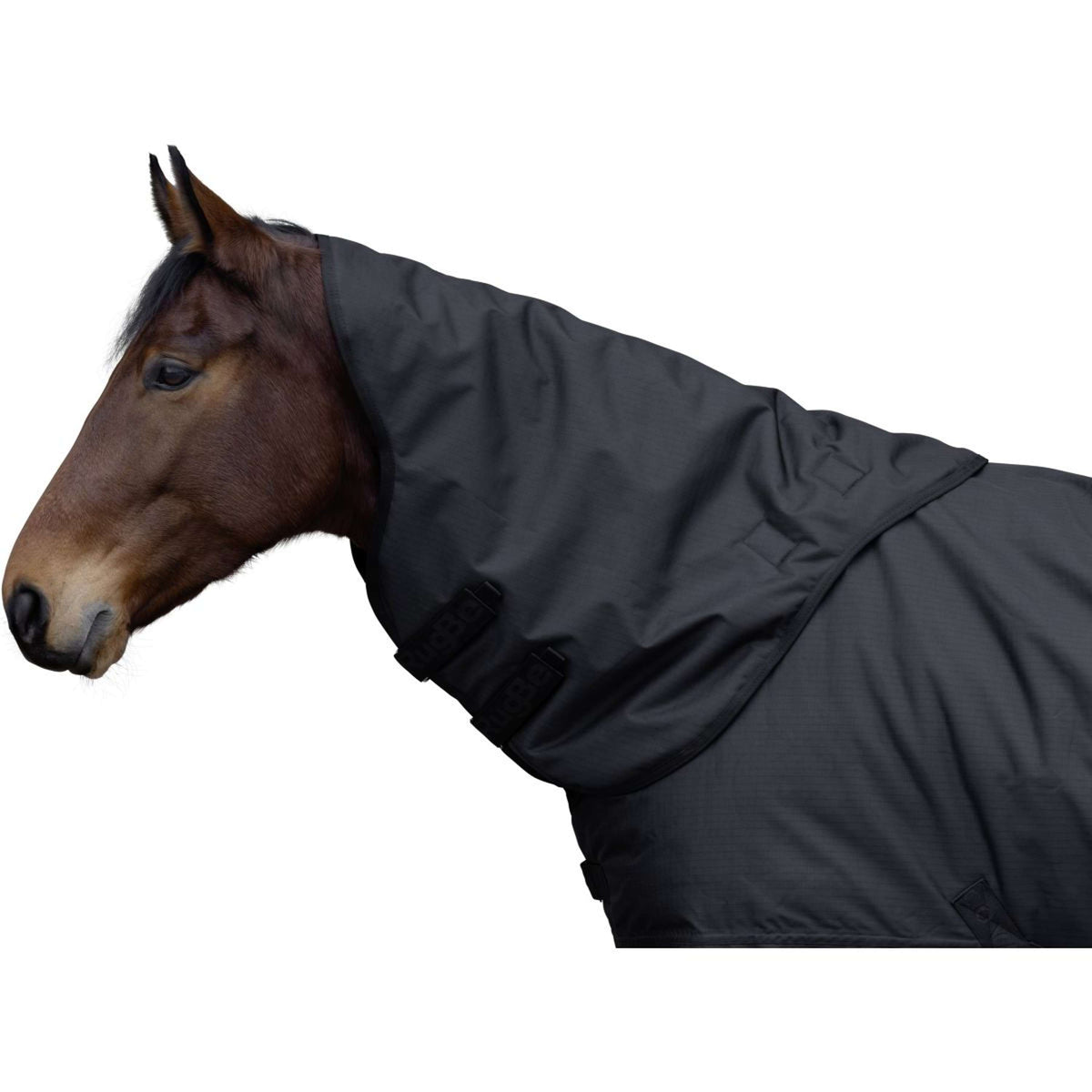 RugBe by Covalliero Copricollo AW25 100g Nero