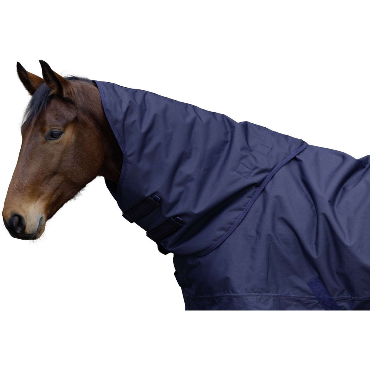 RugBe by Covalliero Copricollo AW25 100g Dark Navy