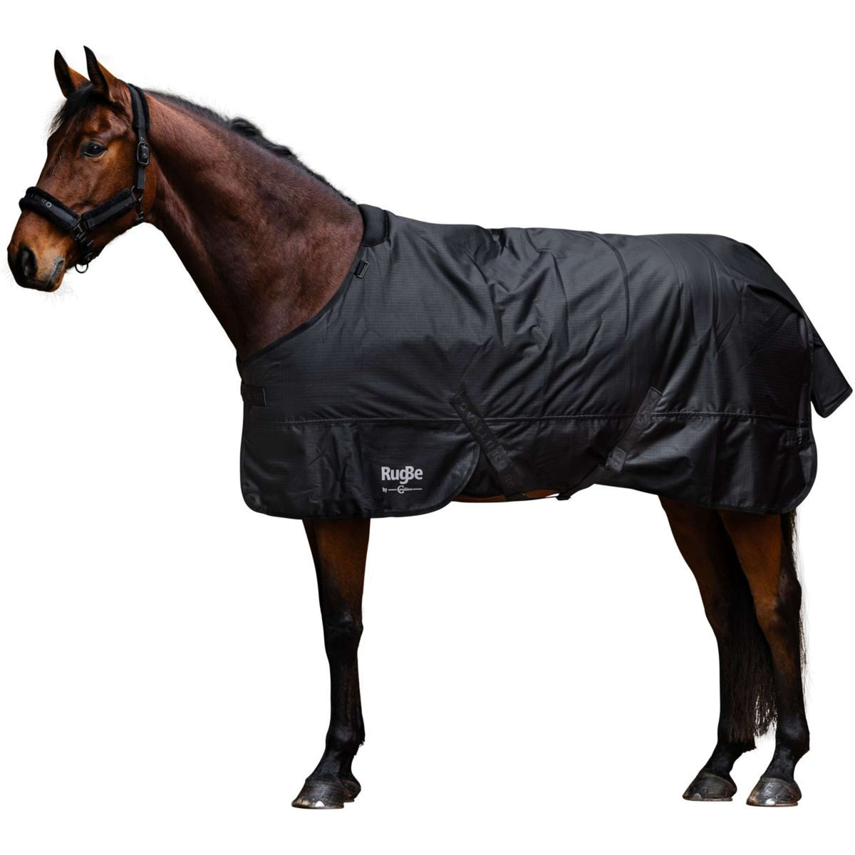 RugBe by Covalliero Coperta Invernale AW25 300 g Nero