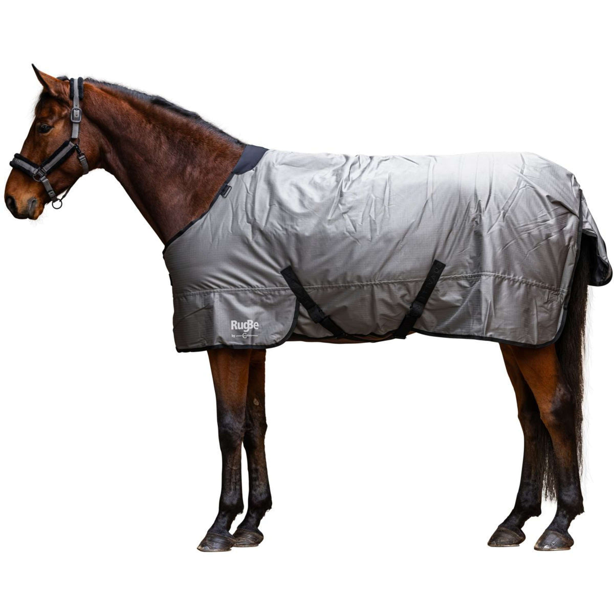 RugBe by Covalliero Coperta Invernale AW25 300 g Steel Grey