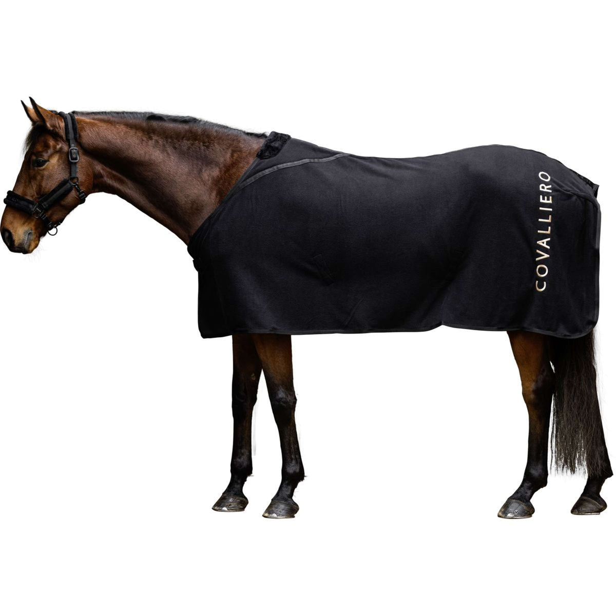 Covalliero Coperta in Pile AW25 Nero