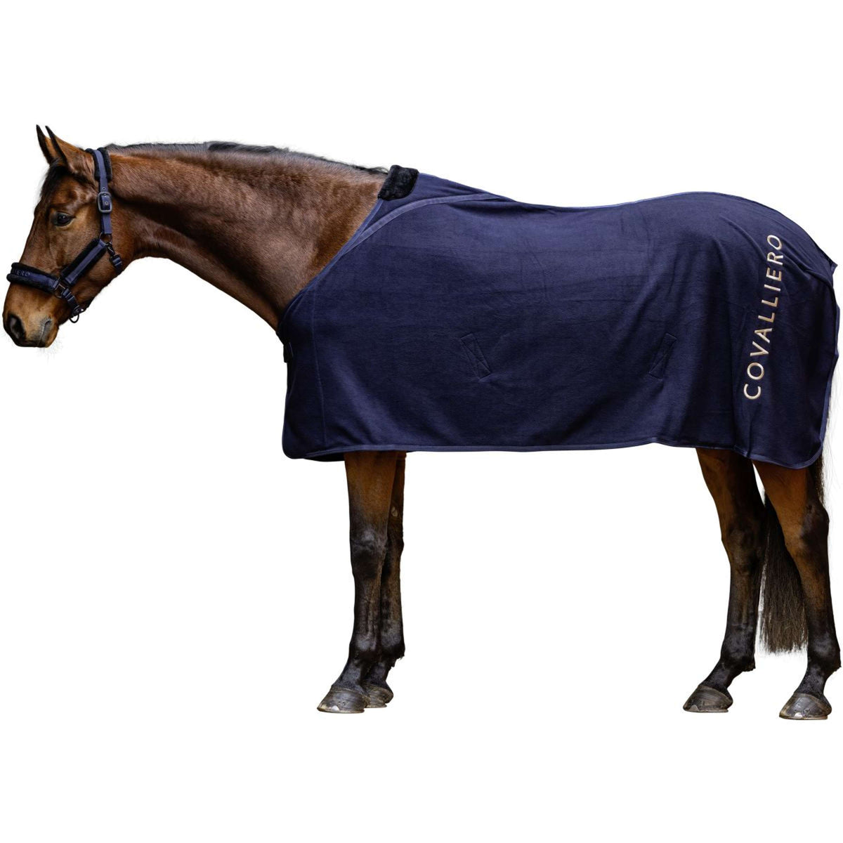 Covalliero Coperta in Pile AW25 Dark Navy