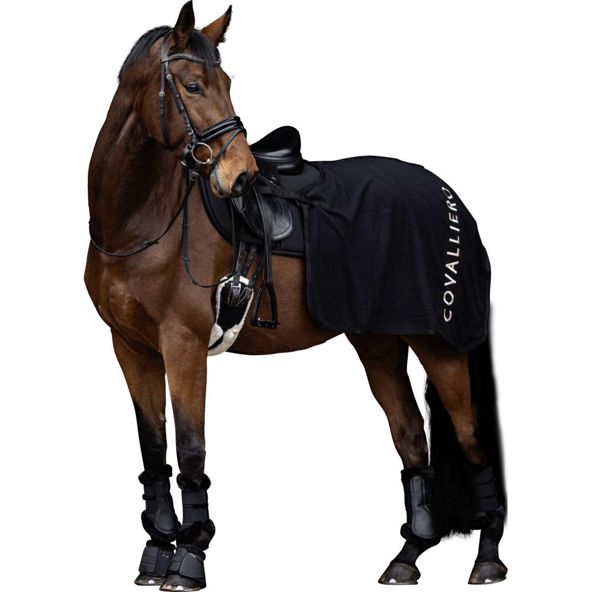 Covalliero Coperta da esercizio AW25 Nero