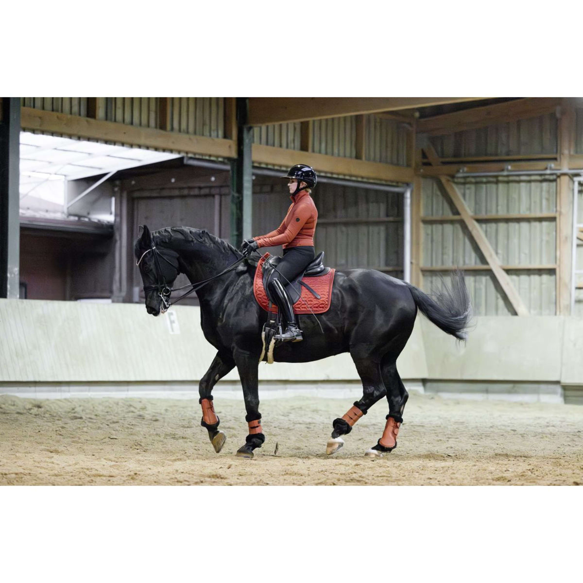 Covalliero Parastinchi AW25 Riposo