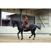 Covalliero Parastinchi AW25 Riposo