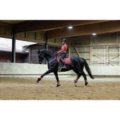 Covalliero Parastinchi AW25 Riposo