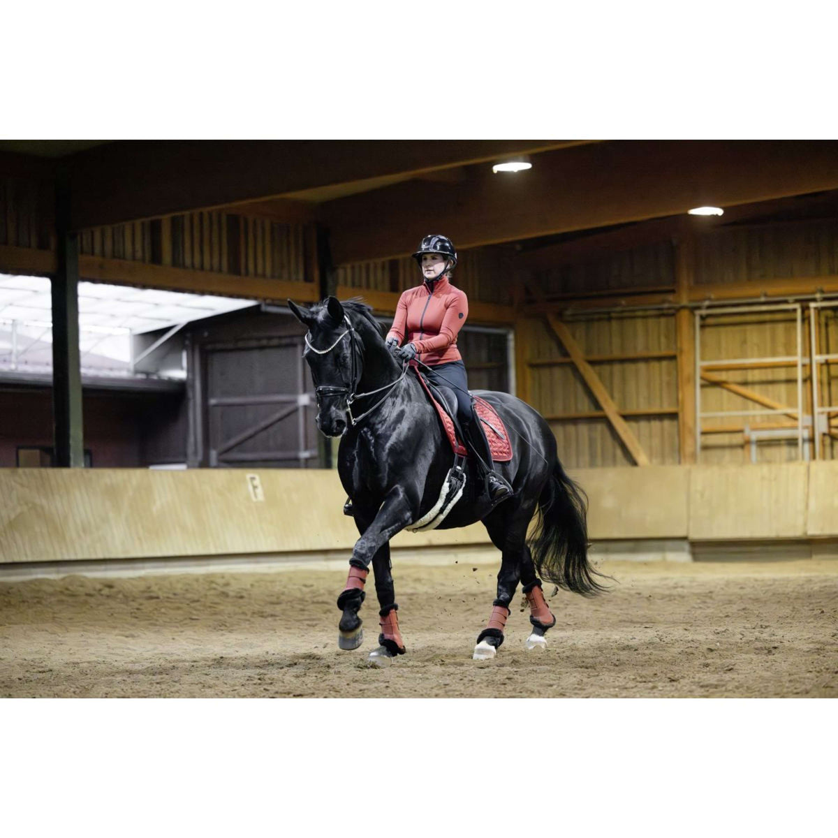 Covalliero Parastinchi AW25 Riposo