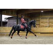 Covalliero Parastinchi AW25 Riposo