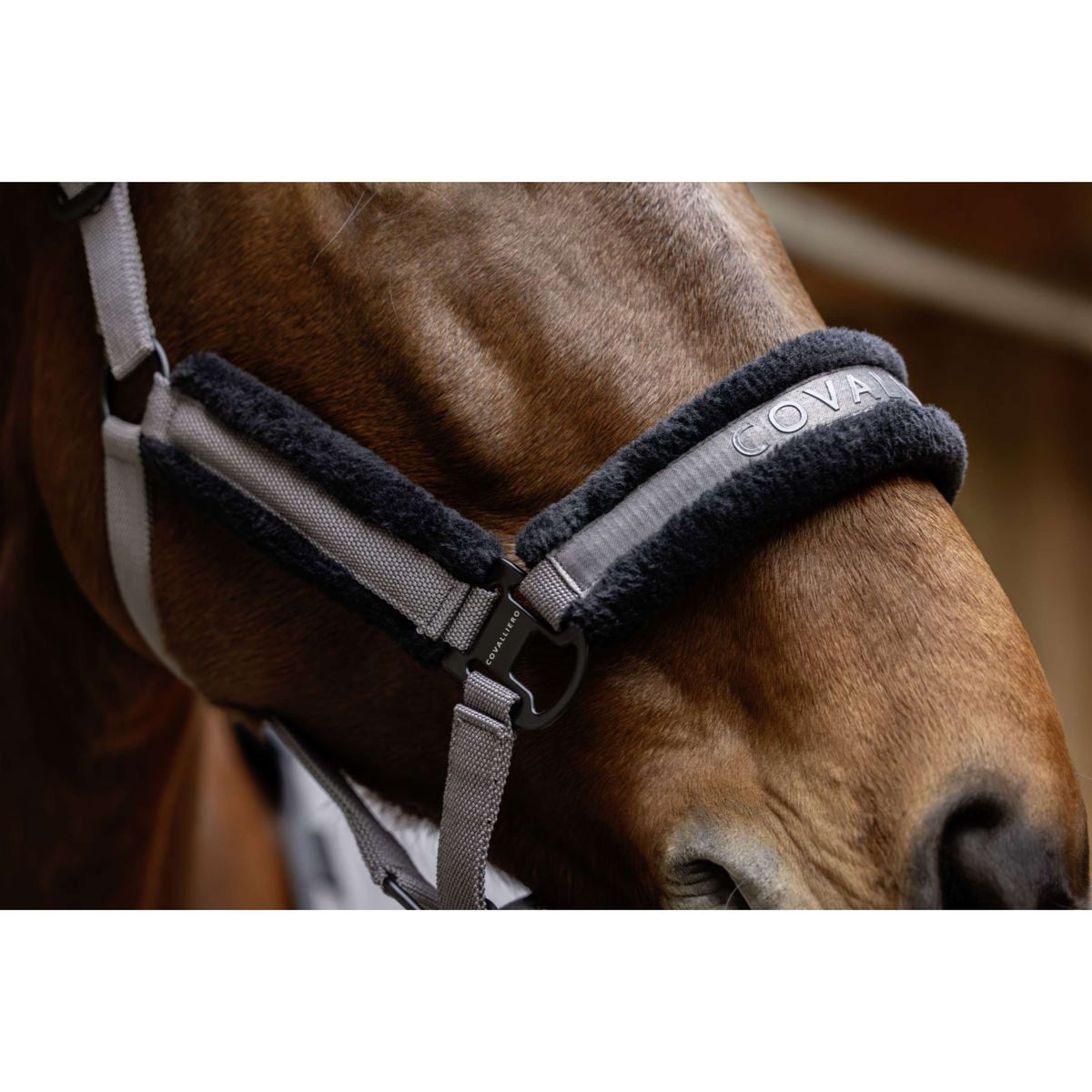 Covalliero Capezzina AW25 Steel Grey