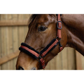 Covalliero Capezzina AW25 Riposo
