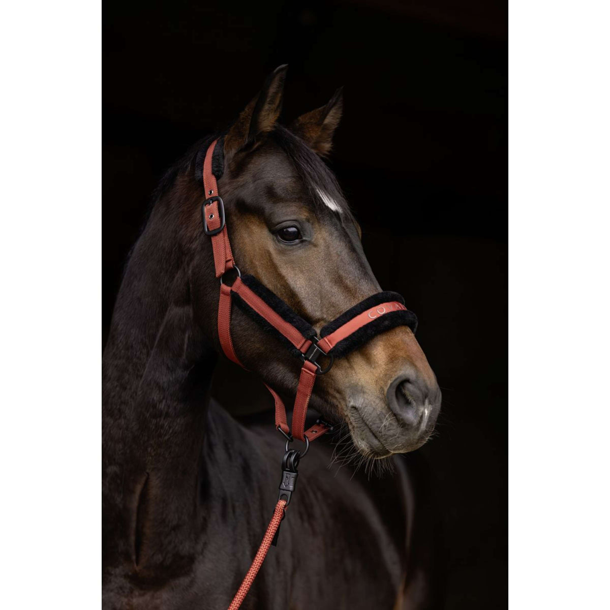 Covalliero Capezzina AW25 Riposo