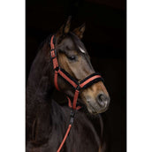 Covalliero Capezzina AW25 Riposo