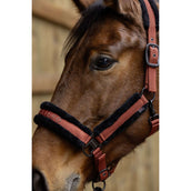 Covalliero Capezzina AW25 Riposo