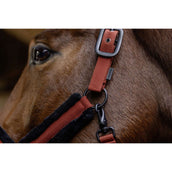 Covalliero Capezzina AW25 Riposo