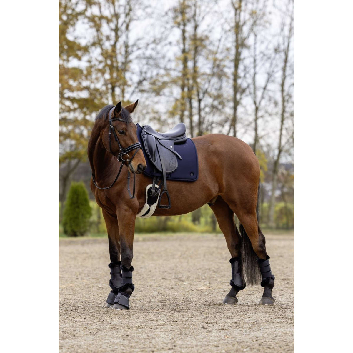 Covalliero Sottosella MemoryRide AW25 Dressage Dark Navy