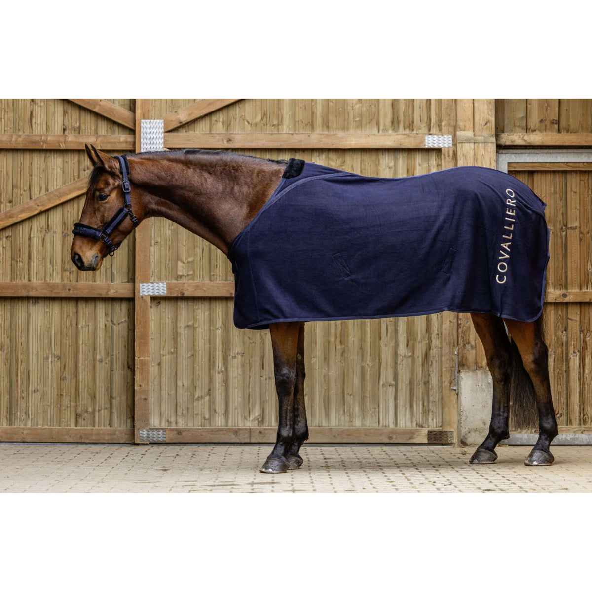 Covalliero Coperta in Pile AW25 Dark Navy