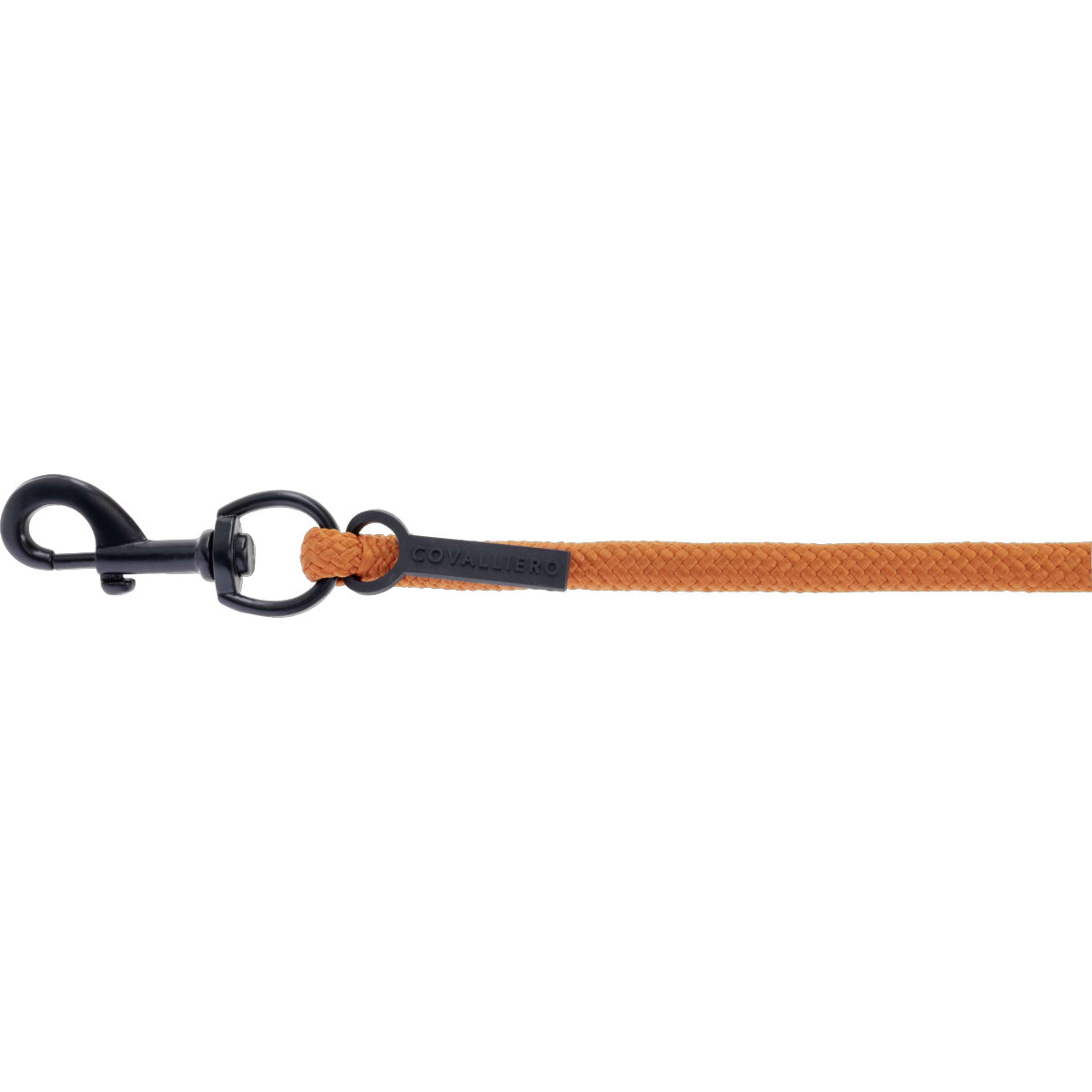 Covalliero Corda per cavezza AW26 con Moschettone Arancia