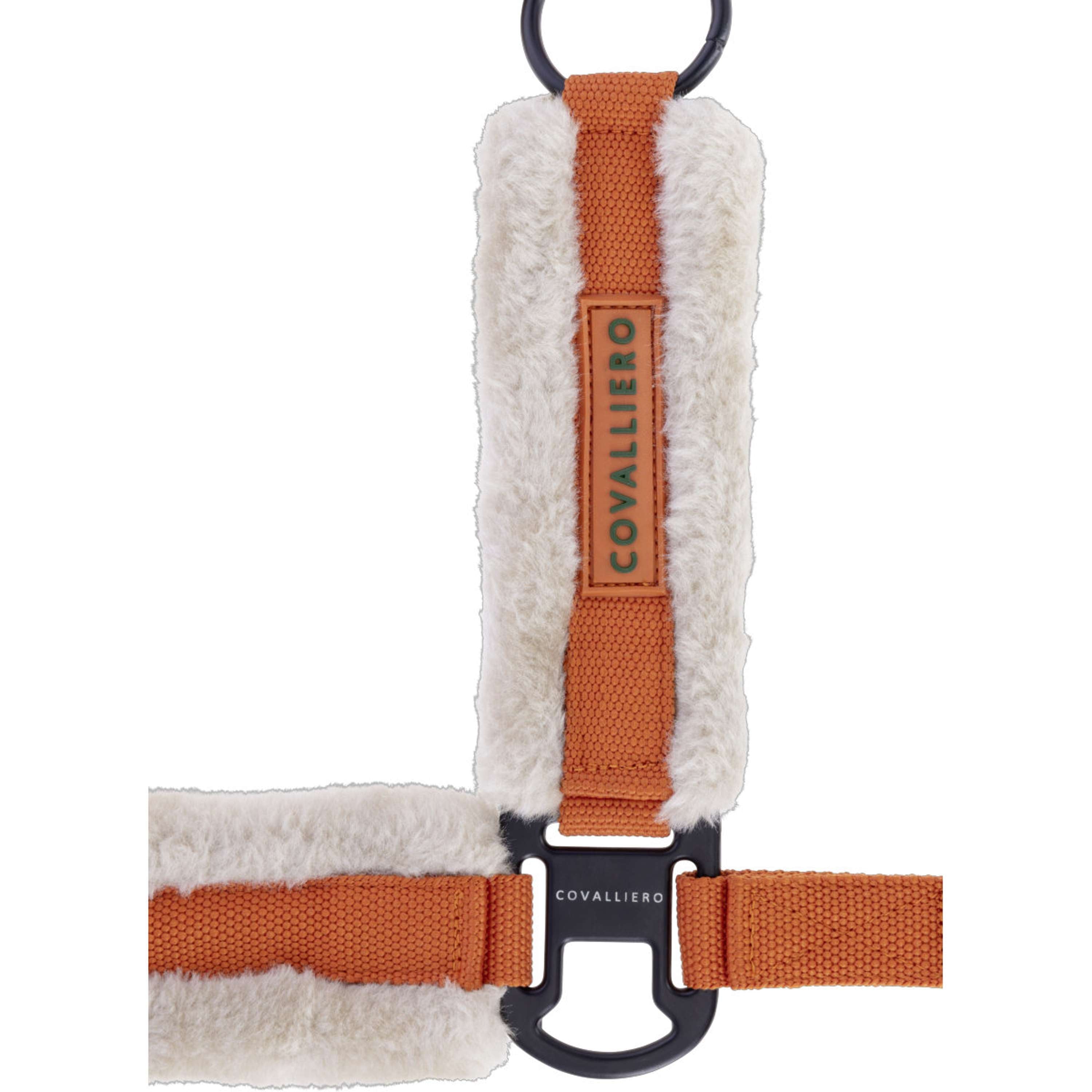 Covalliero Cavezza Soft AW26 Arancia