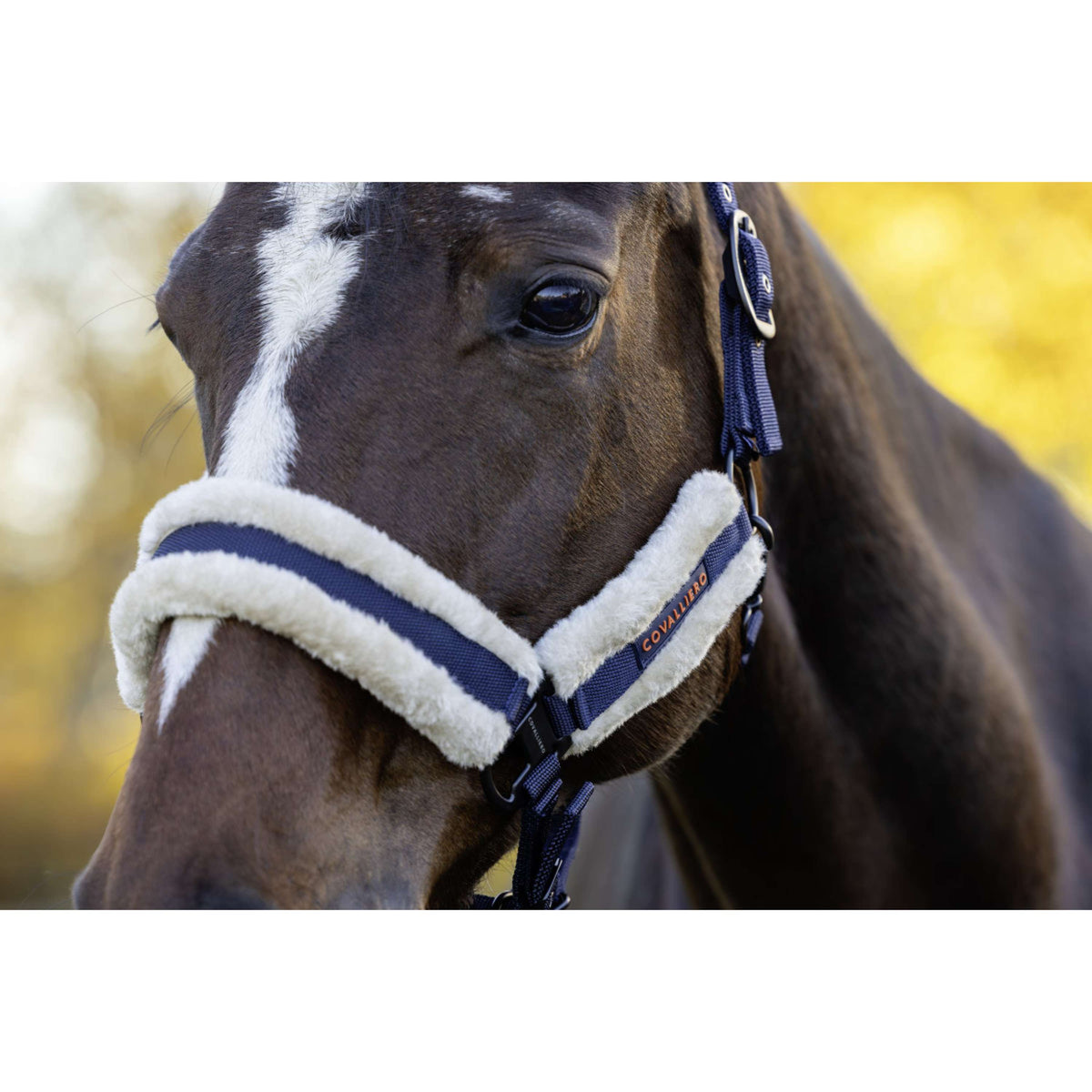 Covalliero Cavezza Soft AW26 Dark Navy