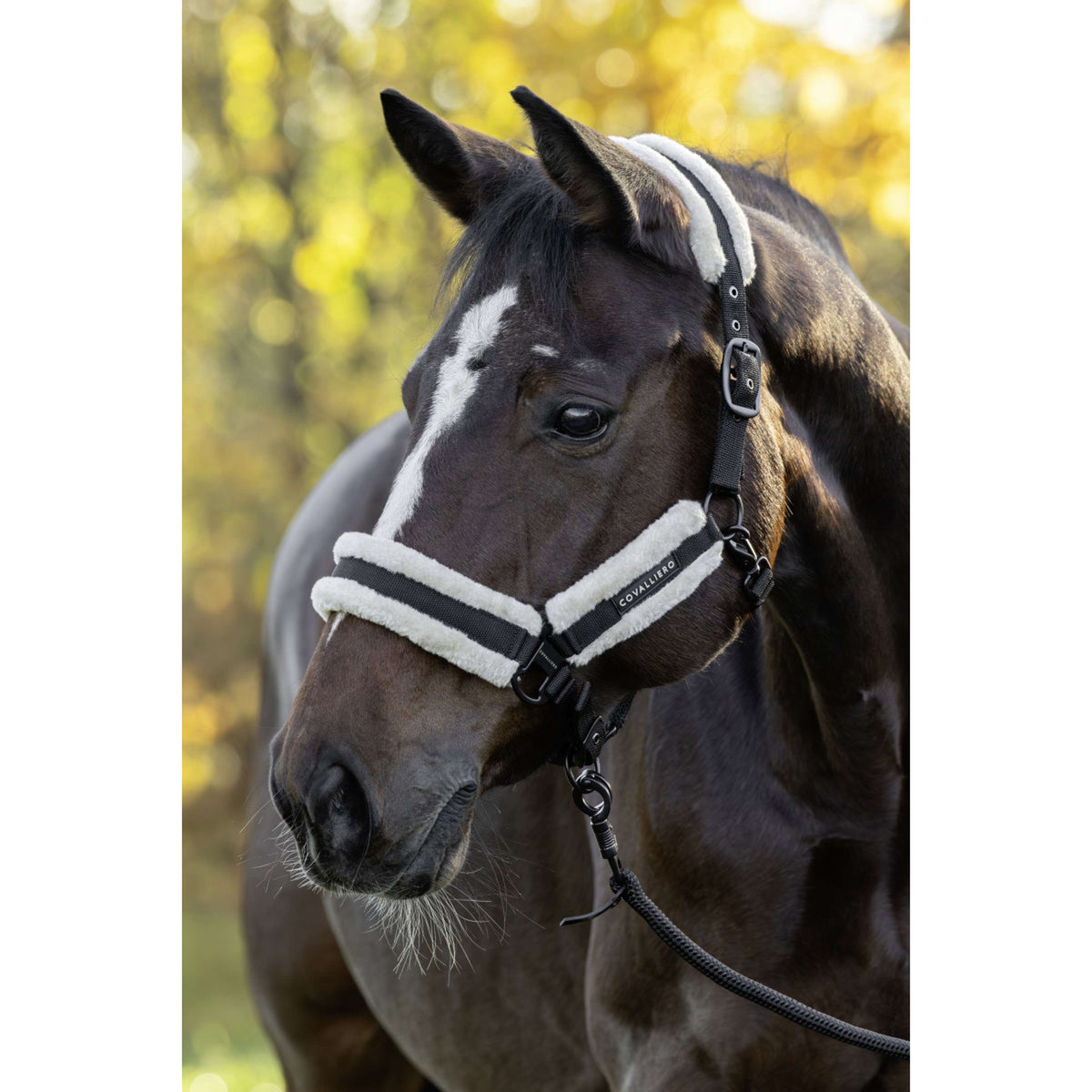 Covalliero Cavezza Soft AW26 Nero