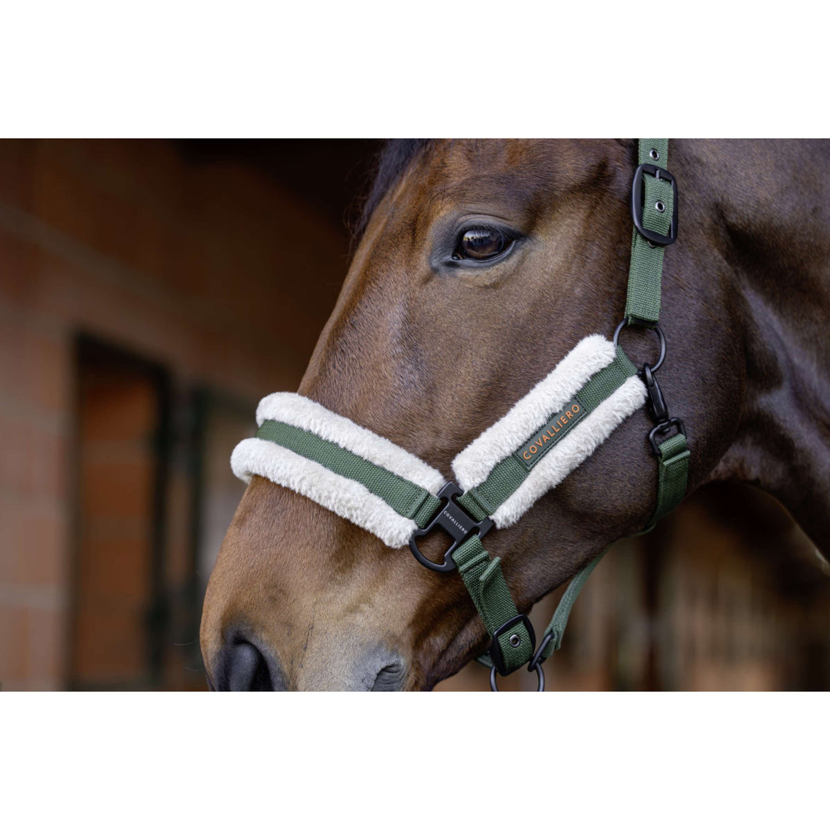 Covalliero Cavezza Soft AW26 Forest Green