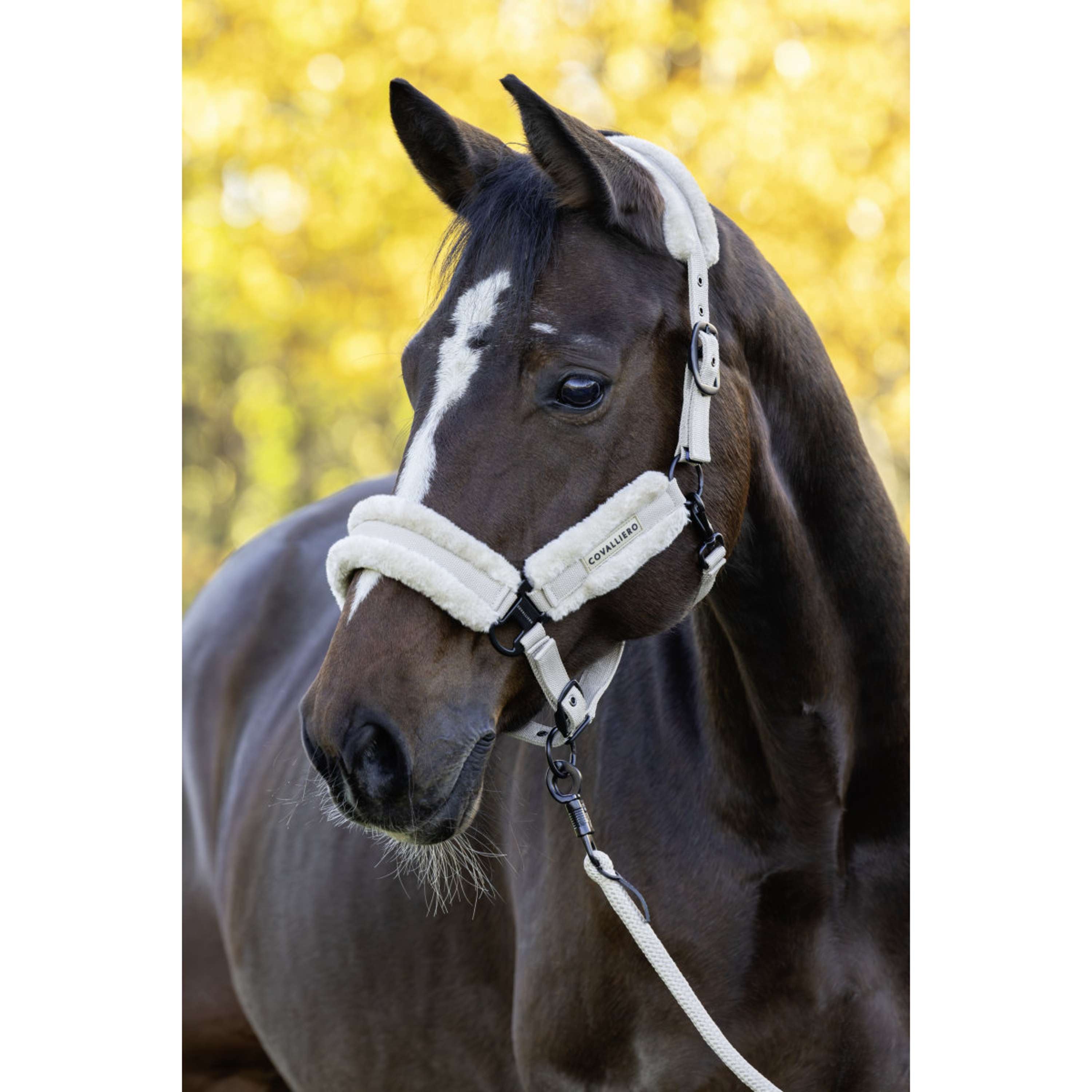 Covalliero Cavezza Soft AW26 Beige