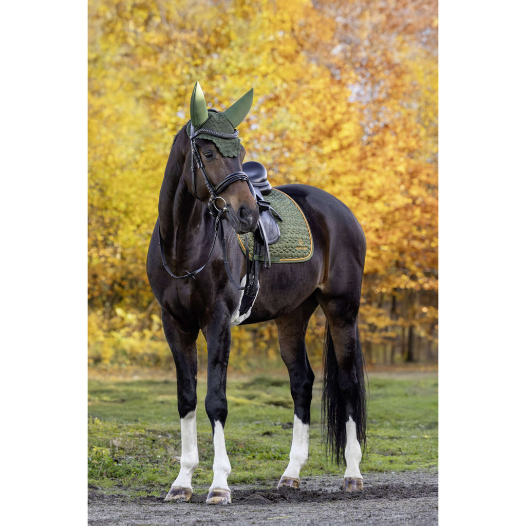 Covalliero Sottosella Soft AW26 Dressage Forest Green