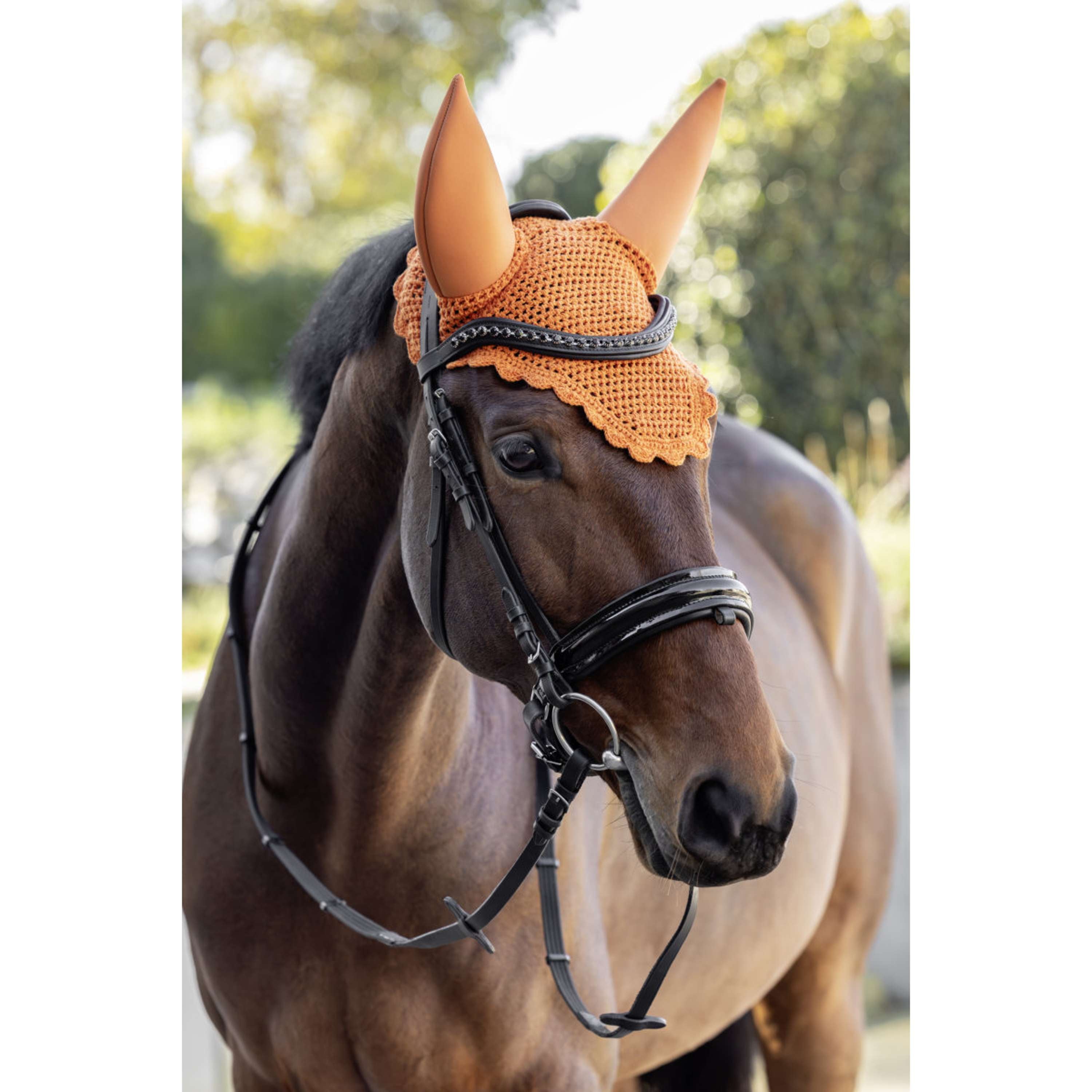 Covalliero Cuffietta Soundless AW26 Arancia