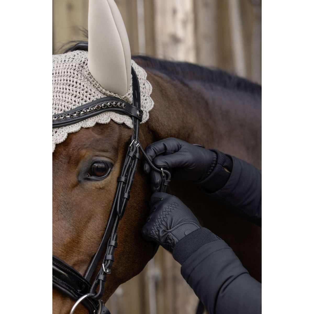 Covalliero Guanti da Equitazione AW26 Nero