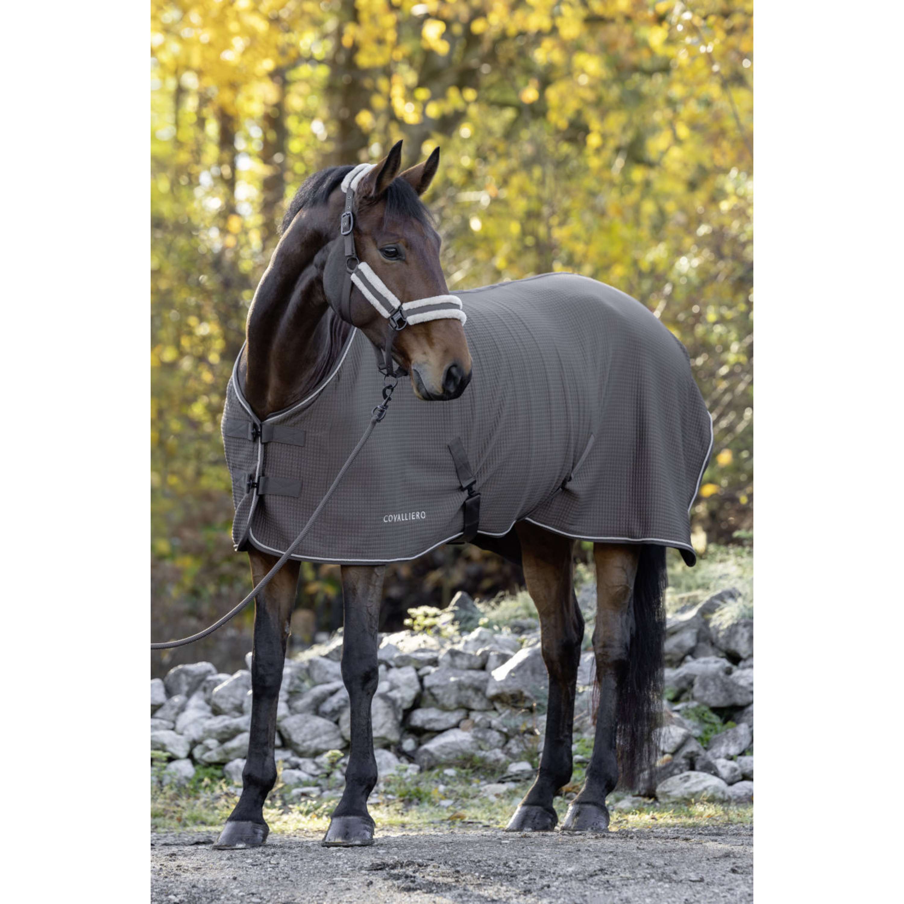 Covalliero Coperta antisudore Premium AW26 Milky Chocolate