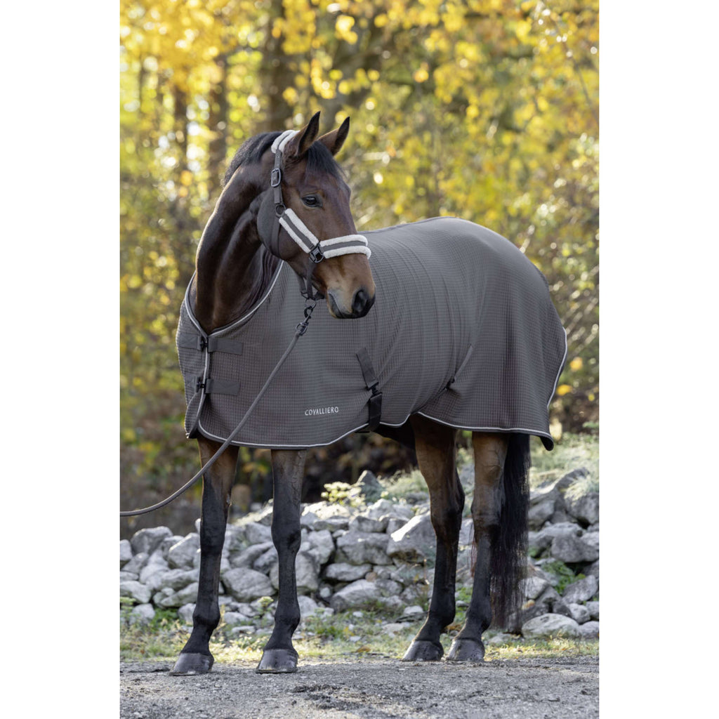 Covalliero Coperta antisudore Premium AW26 Milky Chocolate